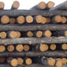 Обеспечение продолжительности эксплуатации древесины