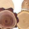 Породы деревьев, которые можно использовать при строительстве сауны