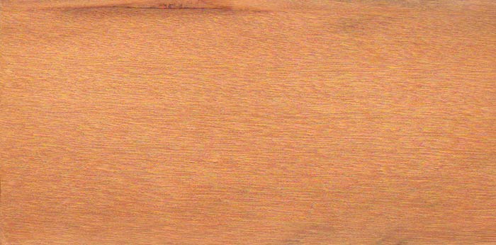 Пероба (янтарное дерево) Aspidosperma vargasil