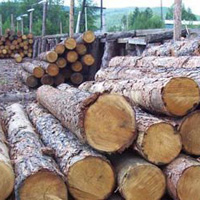 Требования к качеству лесоматериалов