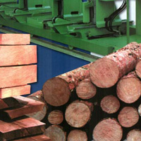 Классификация деревообрабатывающего оборудования